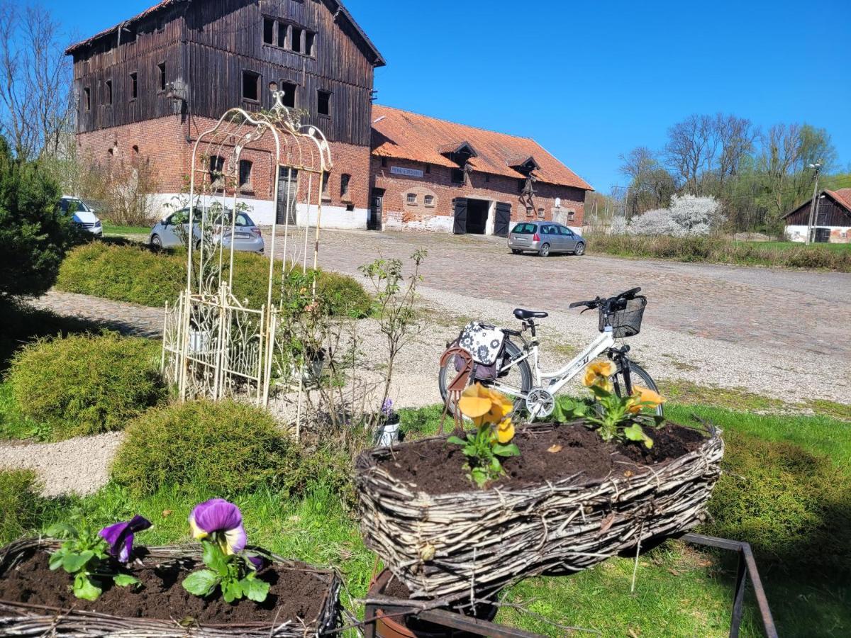 Agroturystyka "Palac W Janowie" Exteriér fotografie